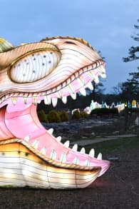 Photo 2 from Spring Lantern Festival