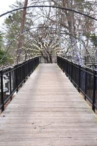 Photo 3 from Spring Lantern Festival