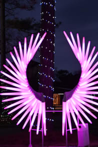 Photo 8 from Spring Lantern Festival