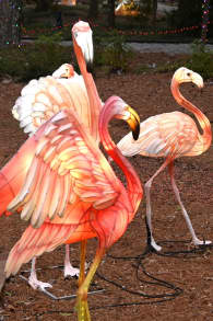 Photo 9 from Spring Lantern Festival