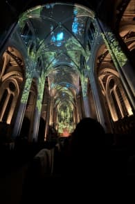 Photo 14 from AURA: An Immersive Odyssey of Breathtaking Proportions