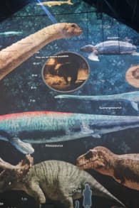 Photo 3 from Prehistoric Planet: Dinosaurs – De meeslepende voorstelling