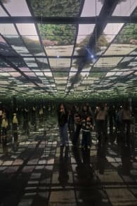 Photo 5 from Prehistoric Planet: Dinosaurs – De meeslepende voorstelling