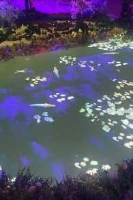 Photo 4 from Monet : The Immersive Experience