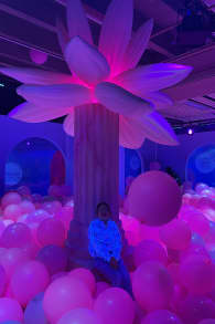 Photo 1 from Bubble Planet: L'expérience immersive à Montréal