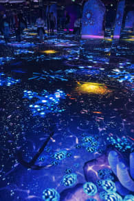 Photo 2 from Bubble Planet: L'expérience immersive à Montréal