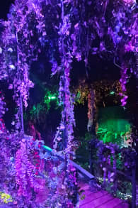Photo 6 from Monet : The Immersive Experience
