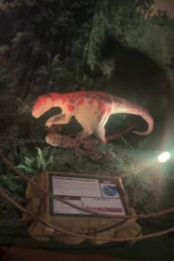 Photo 0 from Dino Safari: A Walk-Thru Adventure