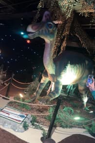 Photo 1 from Dino Safari: A Walk-Thru Adventure