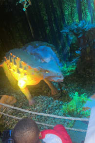 Photo 3 from Dino Safari: A Walk-Thru Adventure