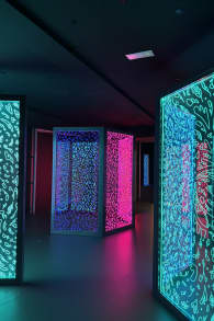 Photo 3 from IKONO Barcelona