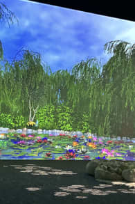 Photo 4 from Monet: The Immersive Experience