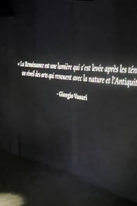 Photo 2 from Renaissance : de Vinci, Raphaël, Michel-Ange – L’expérience immersive à l’Atelier des Lumières