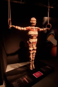 Photo 1 from BODY WORLDS: The Anatomy of Happiness