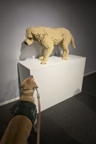 Photo 0 from Art of the Brick: An Exhibition of LEGO® Art - Toronto