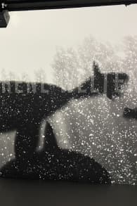 Photo 4 from Wunderwelt Ozean - Ein immersiver Tauchgang