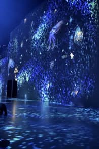 Photo 8 from Wunderwelt Ozean - Ein immersiver Tauchgang