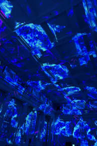 Photo 0 from Enlightenment: An Immersive Light Show in Melbourne