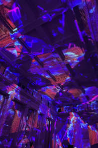 Photo 1 from Enlightenment: An Immersive Light Show in Melbourne