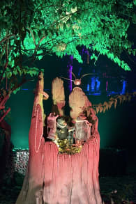 Photo 1 from Harry Potter™: La Experiencia del Bosque Prohibido