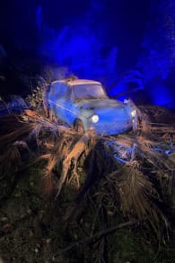 Photo 2 from Harry Potter™: La Experiencia del Bosque Prohibido