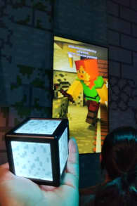 Photo 10 from Minecraft Experience: Villager Rescue CDMX