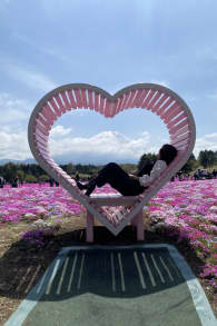 Photo 1 from 富士芝桜まつり