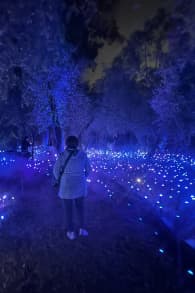 Photo 3 from Light Cycles: A Magical Illuminated Night Trail Among Sounds of Nature