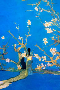 Photo 2 from Van Gogh Inside 2026: Love, Vincent