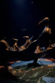 Photo 4 from Leonora Carrington: Labirinto Magico CDMX