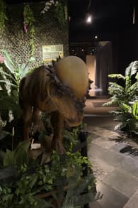 Photo 1 from DinoVerse – une expérience VR immersive