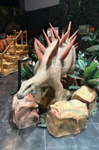Photo 2 from DinoVerse – une expérience VR immersive