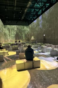 Photo 7 from Cleopatra: The Immersive Experience