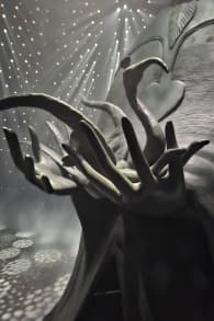 Photo 11 from Leonora Carrington: Labirinto Magico CDMX