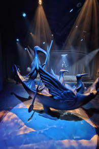 Photo 12 from Leonora Carrington: Labirinto Magico CDMX
