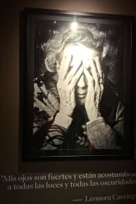 Photo 13 from Leonora Carrington: Labirinto Magico CDMX