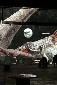Photo 1 from Ein Planet vor unserer Zeit: Dinosaurier – Das immersive Erlebnis