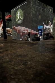 Photo 4 from Ein Planet vor unserer Zeit: Dinosaurier – Das immersive Erlebnis