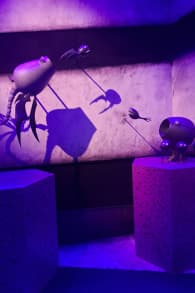 Photo 2 from El Laberinto de Tim Burton Monterrey