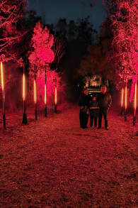 Photo 4 from Light Cycles: A Magical Illuminated Night Trail Among Sounds of Nature