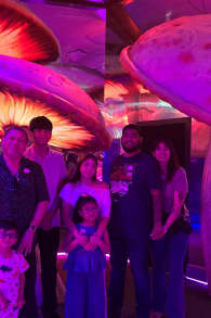 Photo 8 from El Laberinto de Tim Burton Monterrey