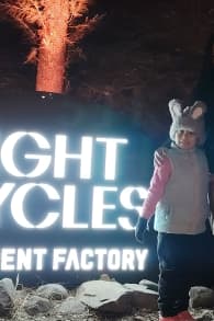 Photo 10 from Light Cycles: A Magical Illuminated Night Trail Among Sounds of Nature