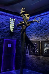 Photo 13 from El Laberinto de Tim Burton Monterrey
