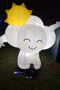 Photo 2 from Festival Brilha Sonhos no Parque Villa-Lobos