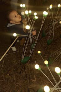 Photo 1 from Festival Brilha Sonhos no Parque Villa-Lobos