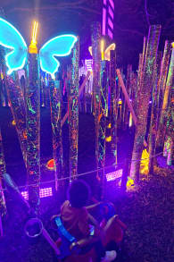 Photo 5 from Festival Brilha Sonhos no Parque Villa-Lobos