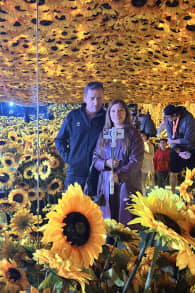 Photo 3 from Van Gogh en Vivo, la experiencia REAL