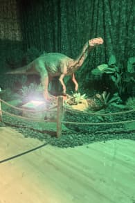 Photo 2 from Dinos Alive: An Immersive Experience
