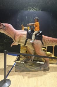 Photo 3 from Dinos Alive: An Immersive Experience