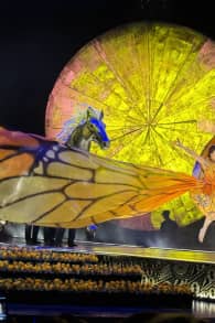 Photo 14 from Cirque du Soleil 2026: LUZIA in Oaks